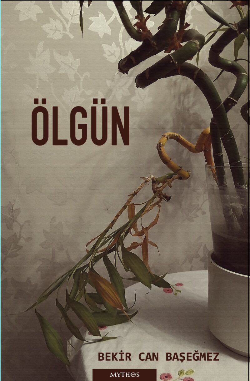 Ölgün
