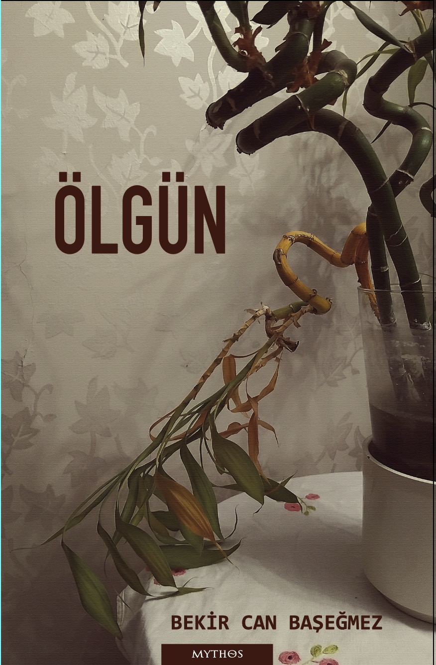 Ölgün Ölgün